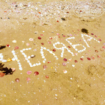 фото из отзыва ID 1150744