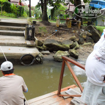 фото из отзыва ID 1150925