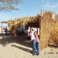 фото из отзыва ID 1151061