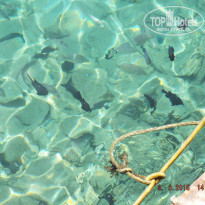 фото из отзыва ID 1151061