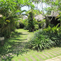 фото из отзыва ID 1151588