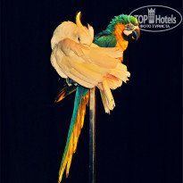 фото из отзыва ID 1151863