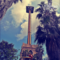 фото из отзыва ID 1151863