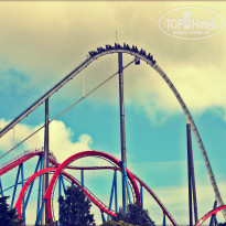 фото из отзыва ID 1151863