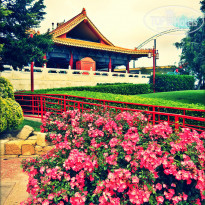 фото из отзыва ID 1151863