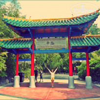 фото из отзыва ID 1151863