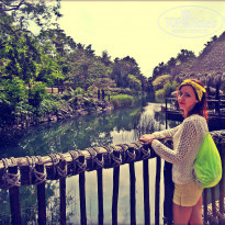 фото из отзыва ID 1151863