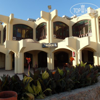 фото из отзыва ID 1151942