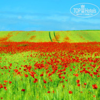 фото из отзыва ID 1152190
