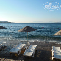 фото из отзыва ID 1152273