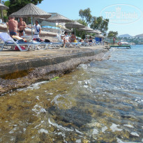 фото из отзыва ID 1152273