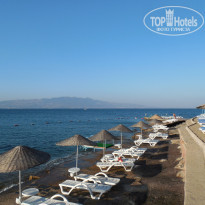 фото из отзыва ID 1152273