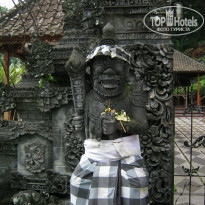 фото из отзыва ID 1151831