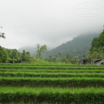 фото из отзыва ID 1151831