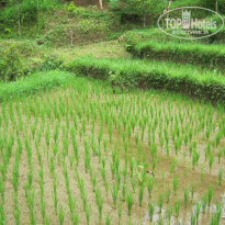 фото из отзыва ID 1151831