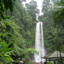 фото из отзыва ID 1151831