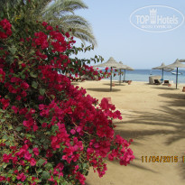 фото из отзыва ID 1152426