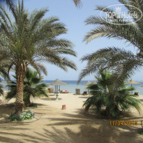 фото из отзыва ID 1152426