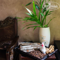 фото из отзыва ID 1152144