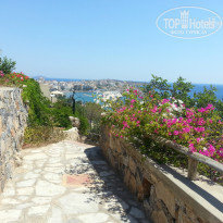 фото из отзыва ID 1151345