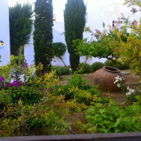 фото из отзыва ID 1150093