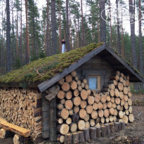 фото из отзыва ID 1152926