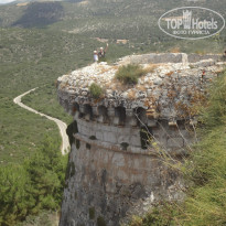 фото из отзыва ID 1152932