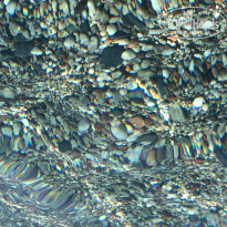 фото из отзыва ID 1152933