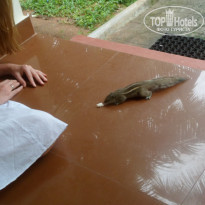 фото из отзыва ID 1152951