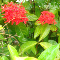 фото из отзыва ID 1152951