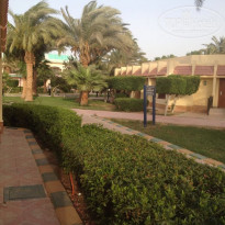 фото из отзыва ID 1153020