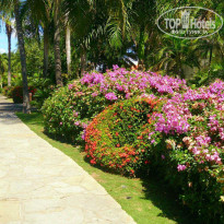 фото из отзыва ID 1150457