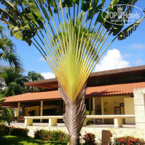 фото из отзыва ID 1150457