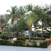 фото из отзыва ID 1150457