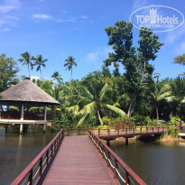 фото из отзыва ID 1153141