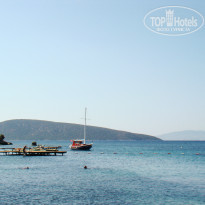 фото из отзыва ID 1153125