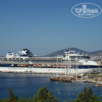 фото из отзыва ID 1153125