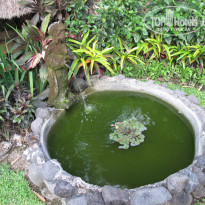 фото из отзыва ID 1153211