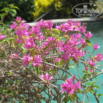 фото из отзыва ID 1153211