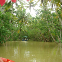 фото из отзыва ID 1152951