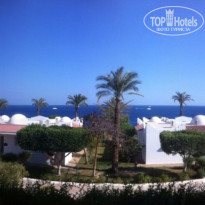 фото из отзыва ID 1153475