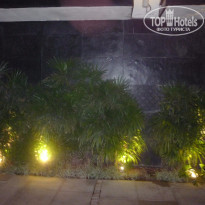 фото из отзыва ID 1152504