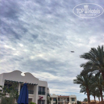 фото из отзыва ID 1154077