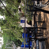 фото из отзыва ID 1154171