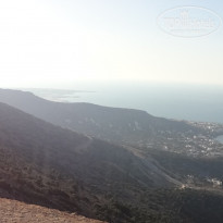 фото из отзыва ID 1154173