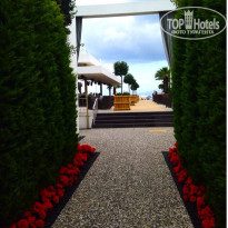 фото из отзыва ID 1154238