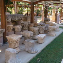 фото из отзыва ID 1154341