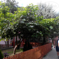 фото из отзыва ID 1154460