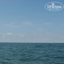 фото из отзыва ID 1154460