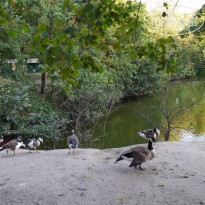 фото из отзыва ID 1154632